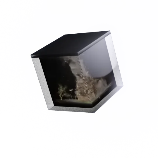 Property Damage
